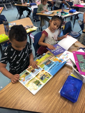 Reading together at their desks